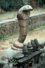 Nepal (67 von 124).jpg